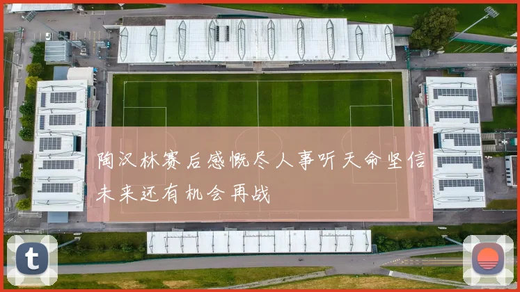 陶汉林赛后感慨尽人事听天命坚信未来还有机会再战